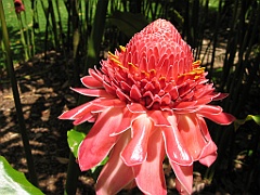 019 Jardin Botanique